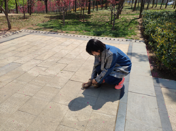 微信图片_20190426160017.png 微信图片_20190426160017.png