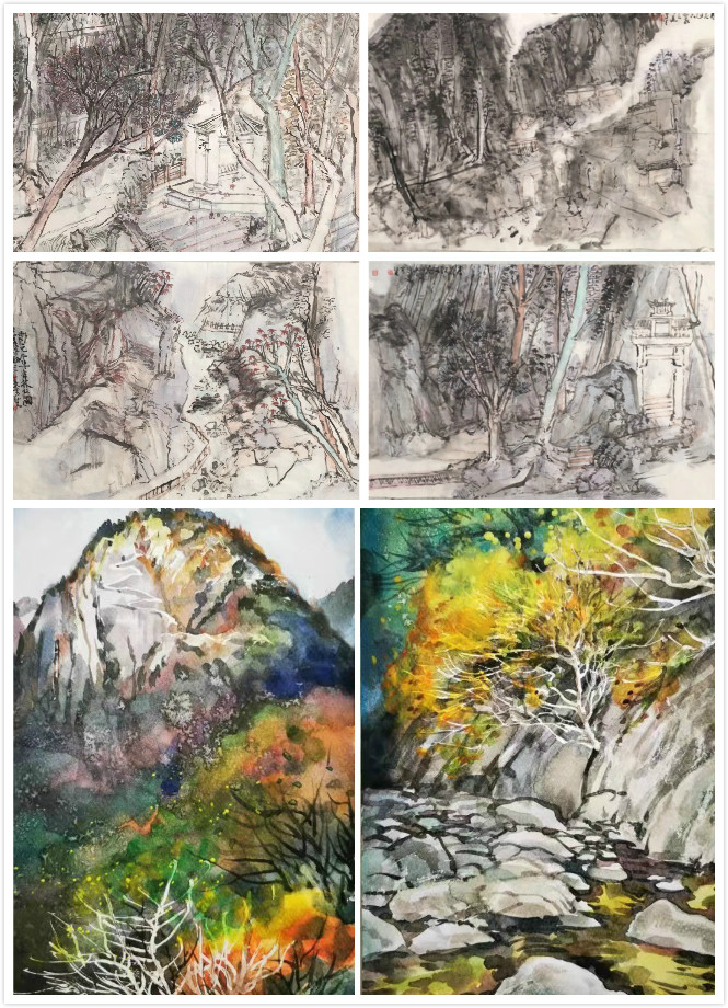 写生作品拼图.jpg 写生作品拼图.jpg