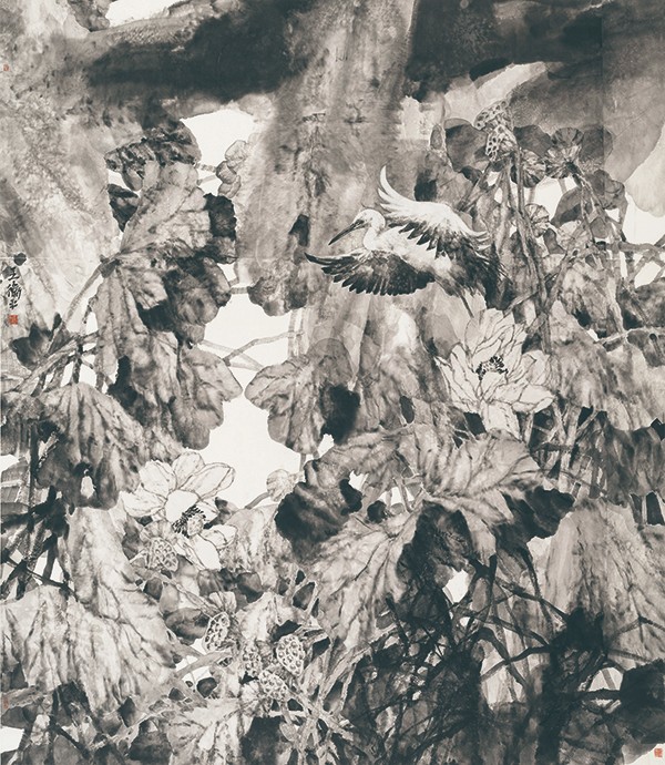494.jpg 494.jpg