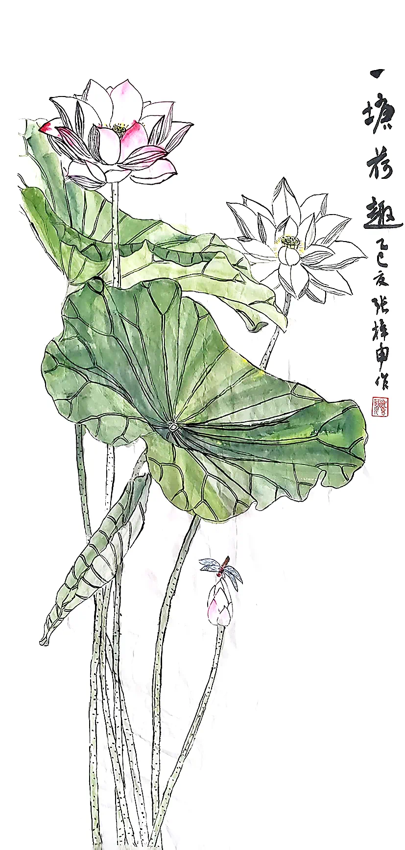 IMG_5531.png IMG_5531.png
