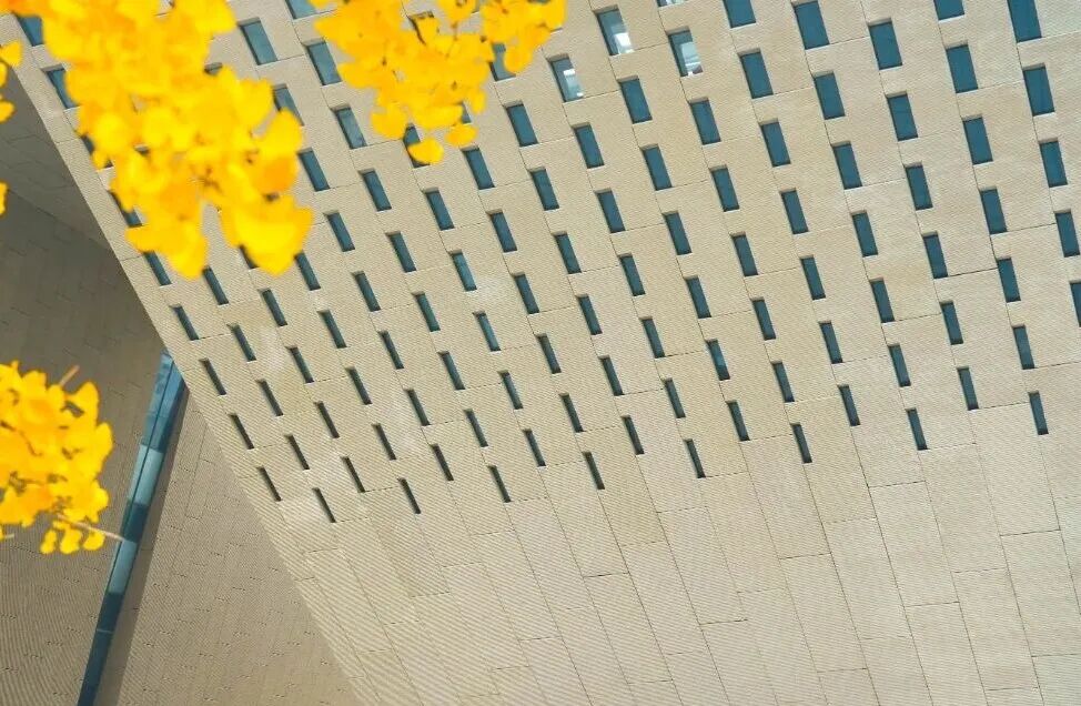 IMG_5966.jpeg IMG_5966.jpeg