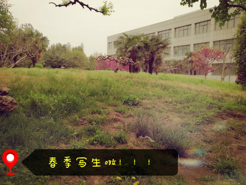201604001_meitu_5.jpg