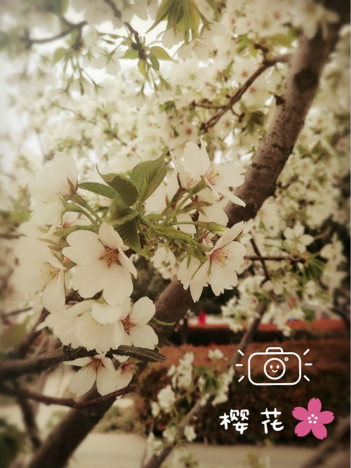 201604002_meitu_2.jpg