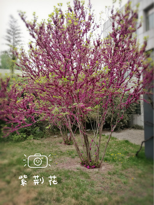201604003_meitu_3.jpg 201604003_meitu_3.jpg