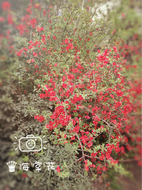 201604004_meitu_4.jpg 201604004_meitu_4.jpg